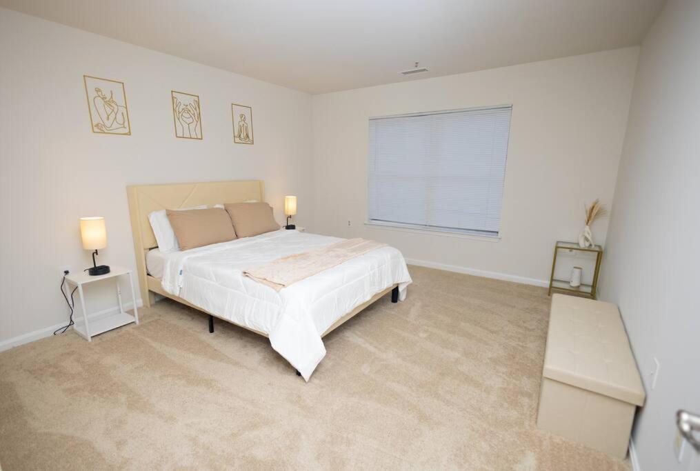 Perfect Stay! 1 Bedroom Mins To Dc Arlington Kültér fotó
